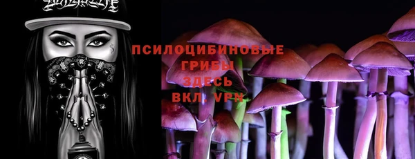 mix Надым