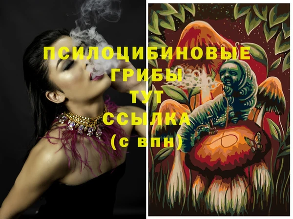 гидропоника Михайлов