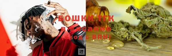 твердый Чегем